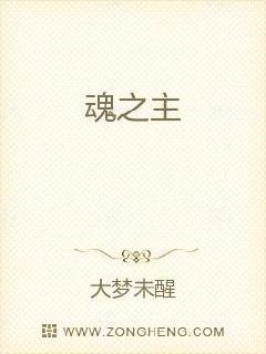 魂之主章节列表