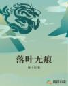 落叶无痕章节列表
