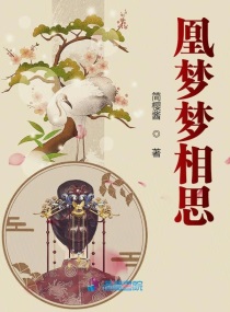 凰梦梦相思章节列表
