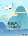 簌簌声，沧尽翱翔章节列表