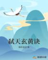 弑天玄黄诀章节列表