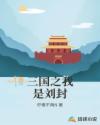 三国之我是刘封章节列表