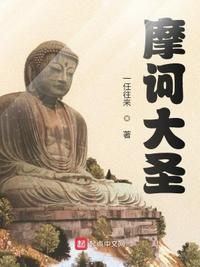 摩诃大圣章节列表