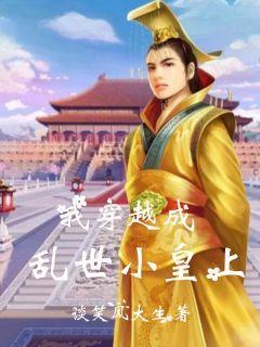 我穿越成乱世小皇帝章节列表