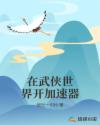 在武侠世界开加速器章节列表