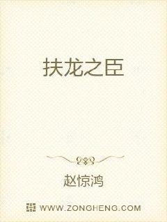 扶龙之臣章节列表