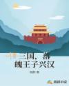 三国，落魄王子兴汉章节列表