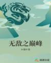 无敌之巅峰章节列表