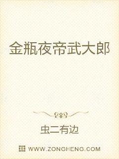 金瓶夜帝武大郎章节列表