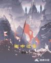 雨中过客章节列表