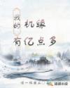 我的机缘有亿点多章节列表