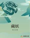 藏妖章节列表