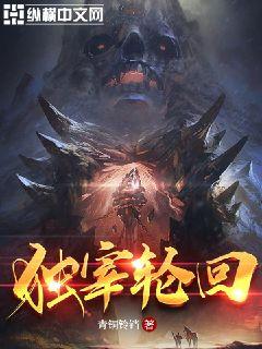 独宰轮回章节列表