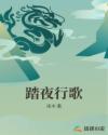 踏夜行歌章节列表