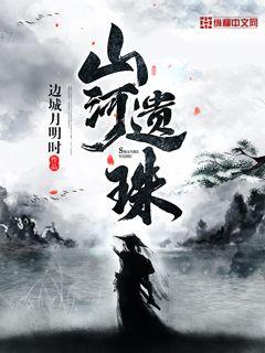 山河遗珠章节列表