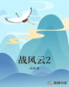 战风云2章节列表