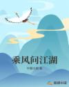 乘风问江湖章节列表