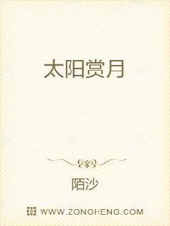 太阳赏月章节列表