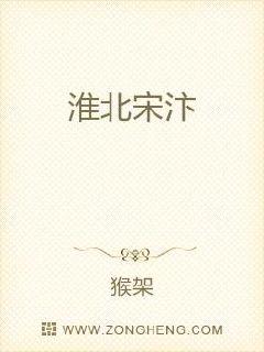淮北宋汴章节列表