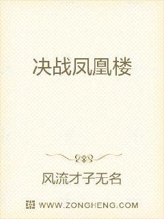 决战凤凰楼章节列表