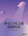 神奇宝贝之巅峰训练家章节列表