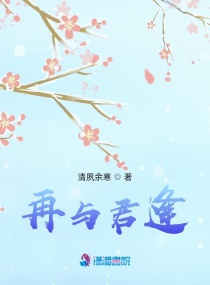 再与君逢章节列表