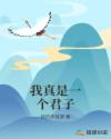 我真是一个君子章节列表