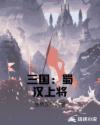 三国：蜀汉上将章节列表