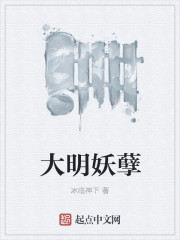 大明妖孽章节列表