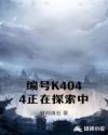 编号K4044正在探索中章节列表