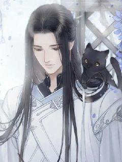 灵猫祖章节列表