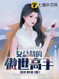 女总裁的傲世高手章节列表