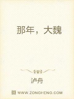 那年，大魏章节列表
