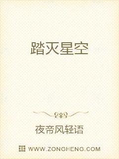 踏灭星空章节列表