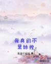 我真的不是妹控章节列表