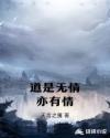 道是无情亦有情章节列表