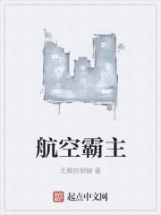 航空霸主章节列表