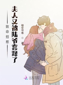 致命招惹：夫人又被陆爷套路了章节列表