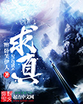 求真章节列表