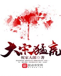 大宋猛虎章节列表