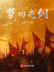 梦回亮剑章节列表