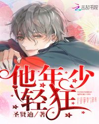 他年少轻狂章节列表