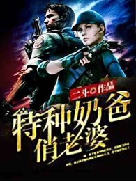 奶爸兵王章节列表
