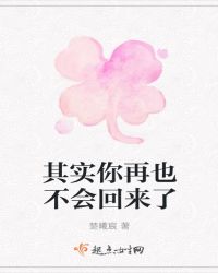 其实你再也不会回来了章节列表