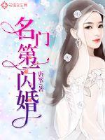 名门第一闪婚章节列表