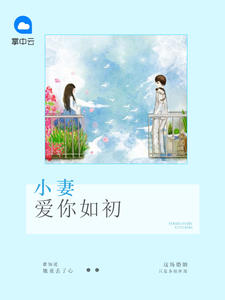 霸道总裁的二婚宠妻章节列表
