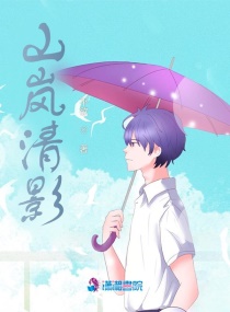 山岚清影章节列表