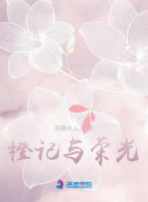 橙记与荣光章节列表