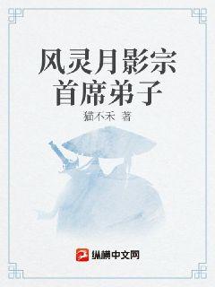 风灵月影宗首席弟子章节列表