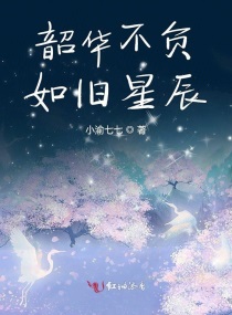 韶华不负如旧星辰章节列表
